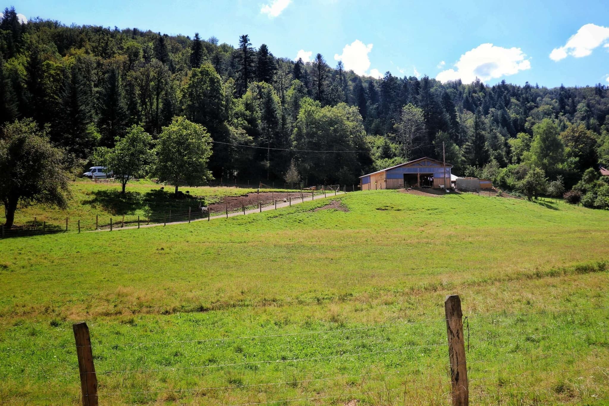 chevrerie