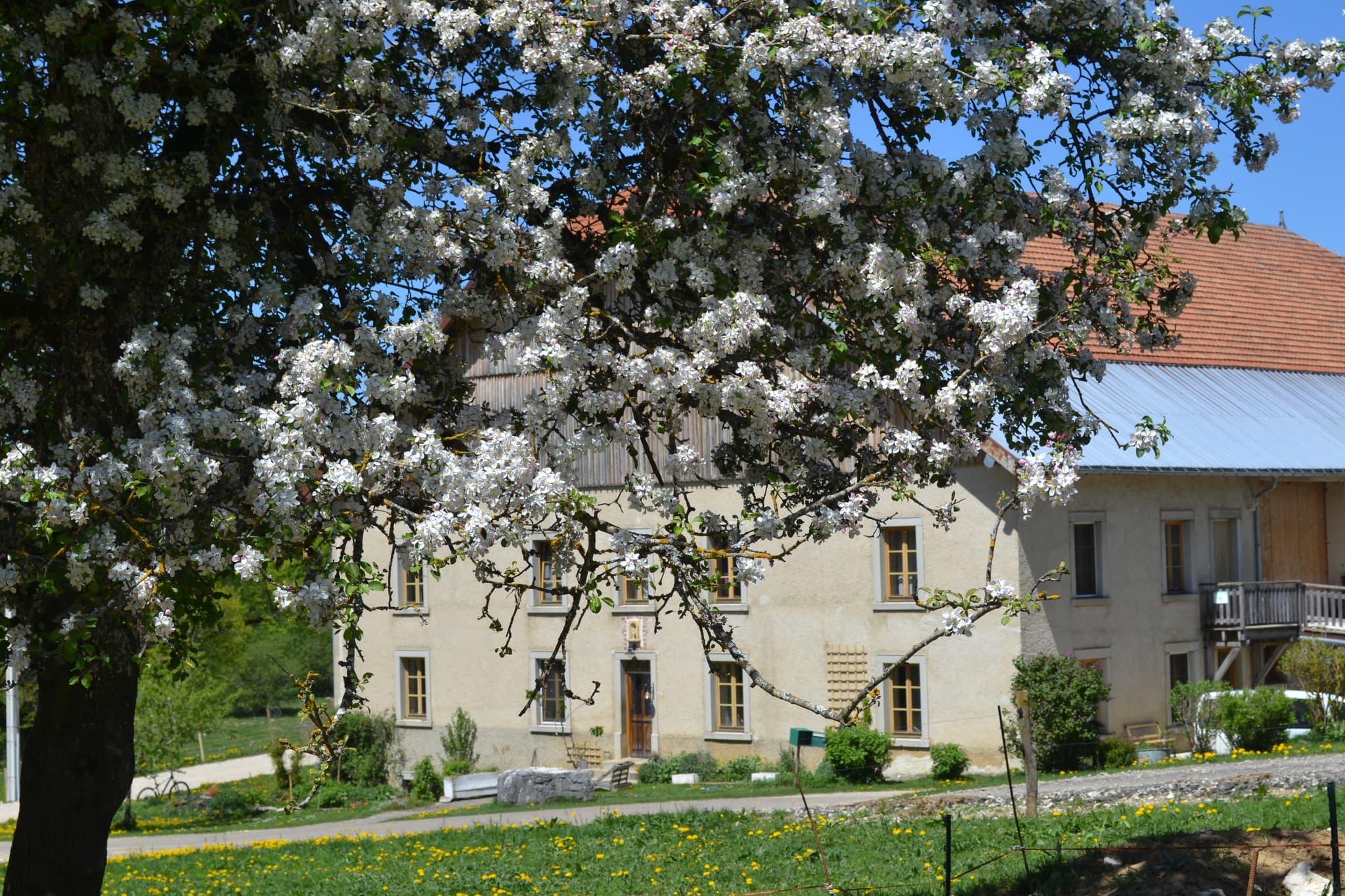 La grange des sapins, ferme