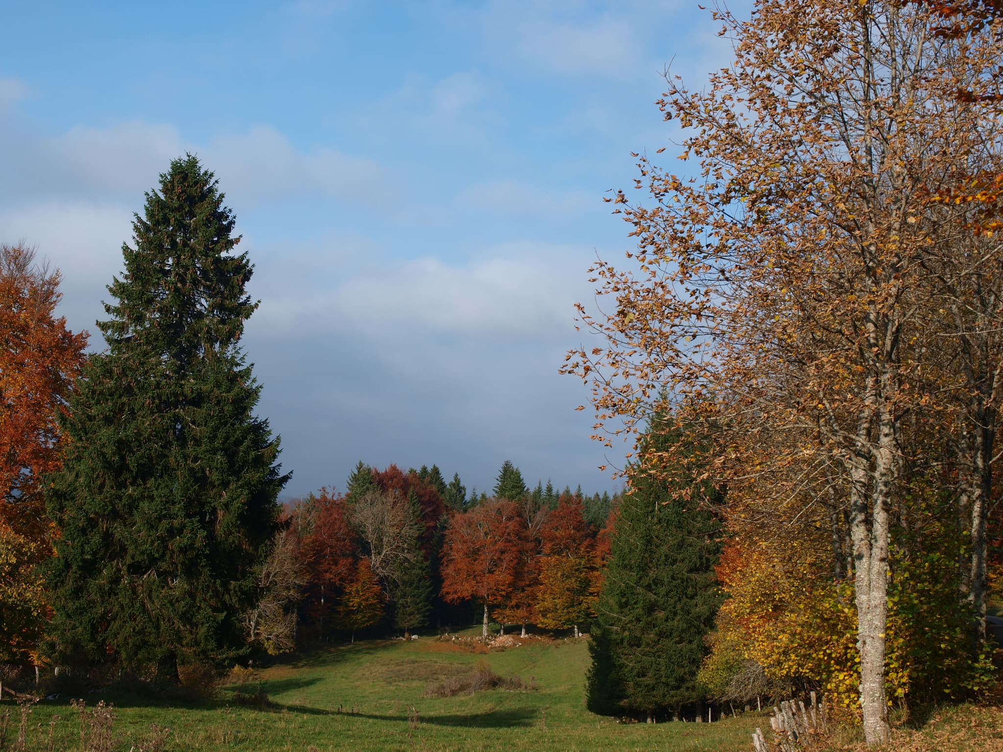 Parcours d'orientation à Saint-Laurent en Grandvaux