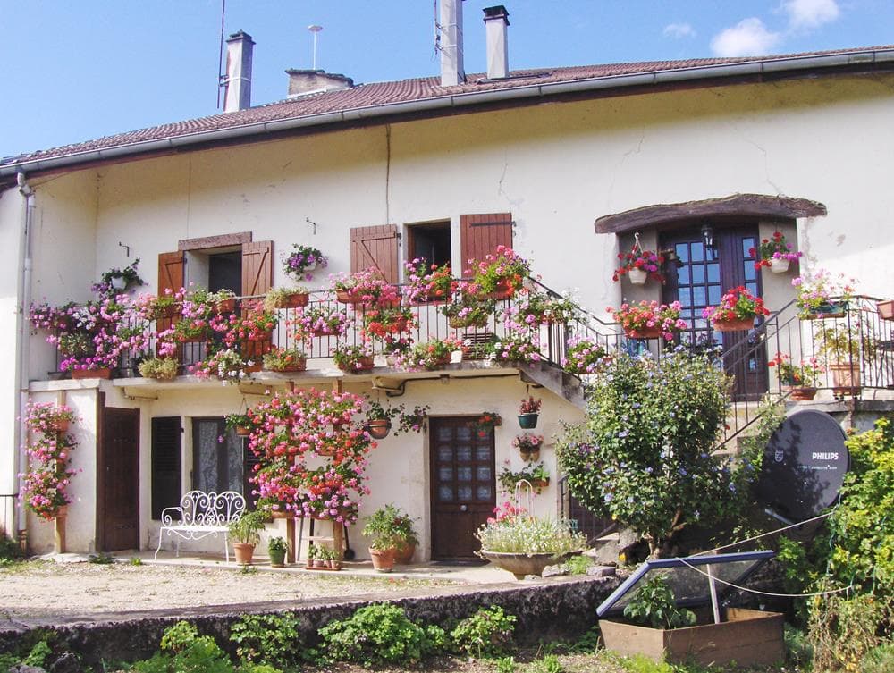 maison