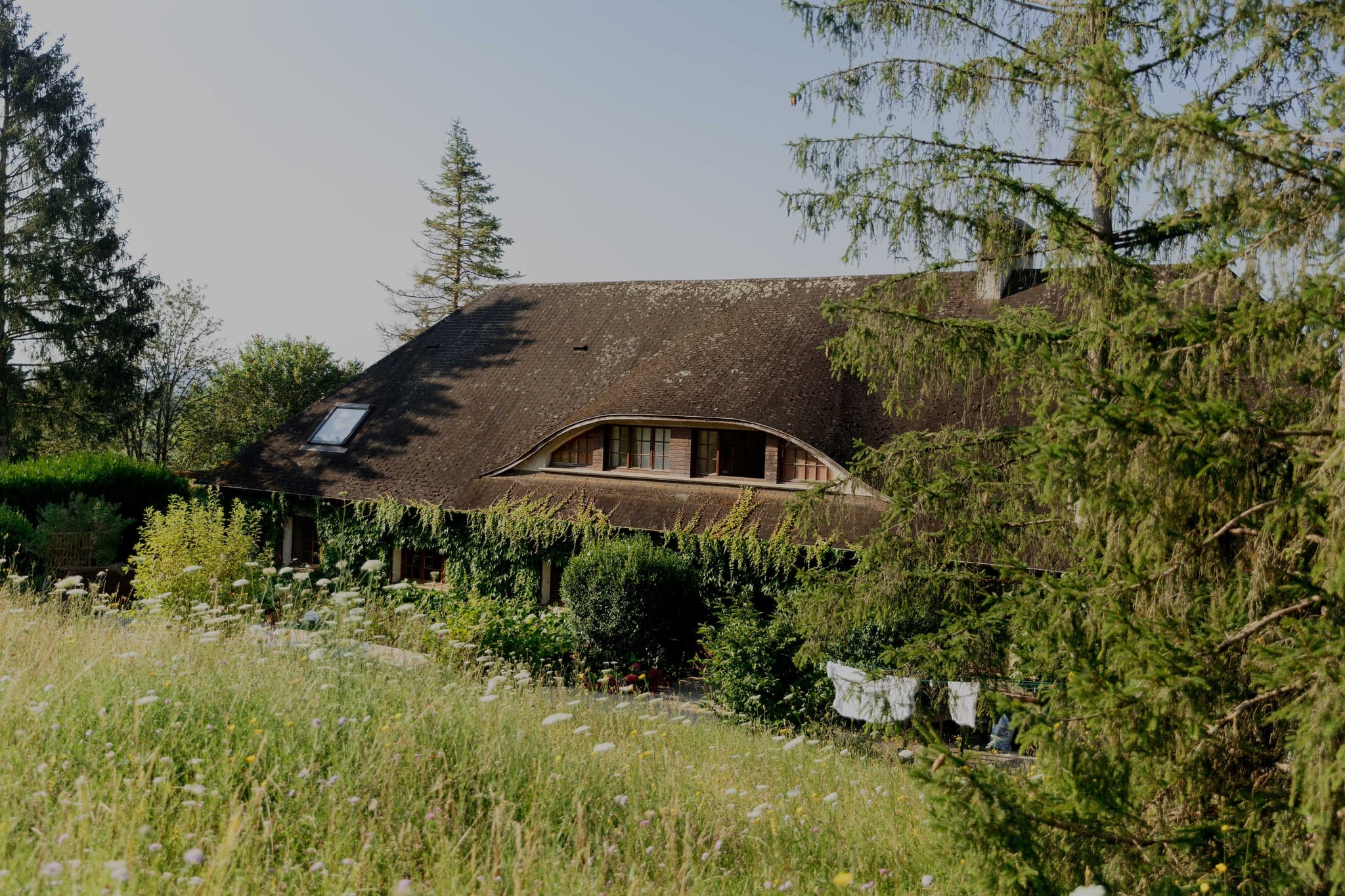 Foray_(c)GGomez_MaisonTerrace