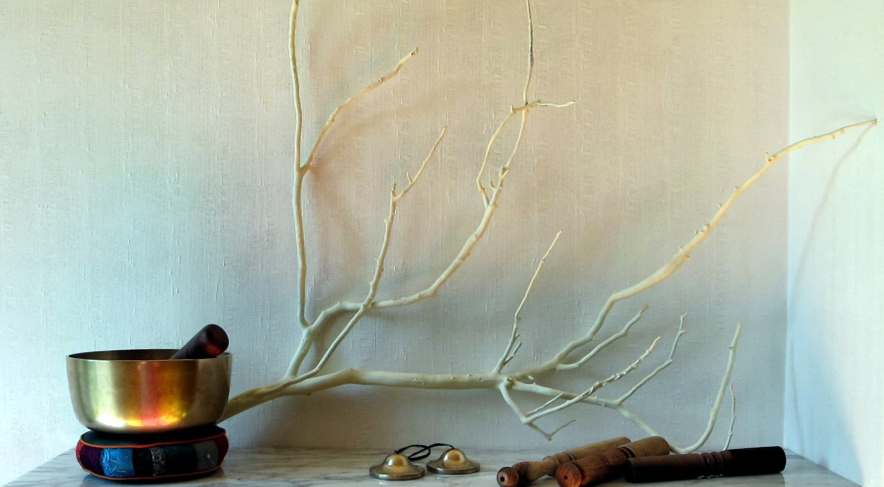 Bol et branche