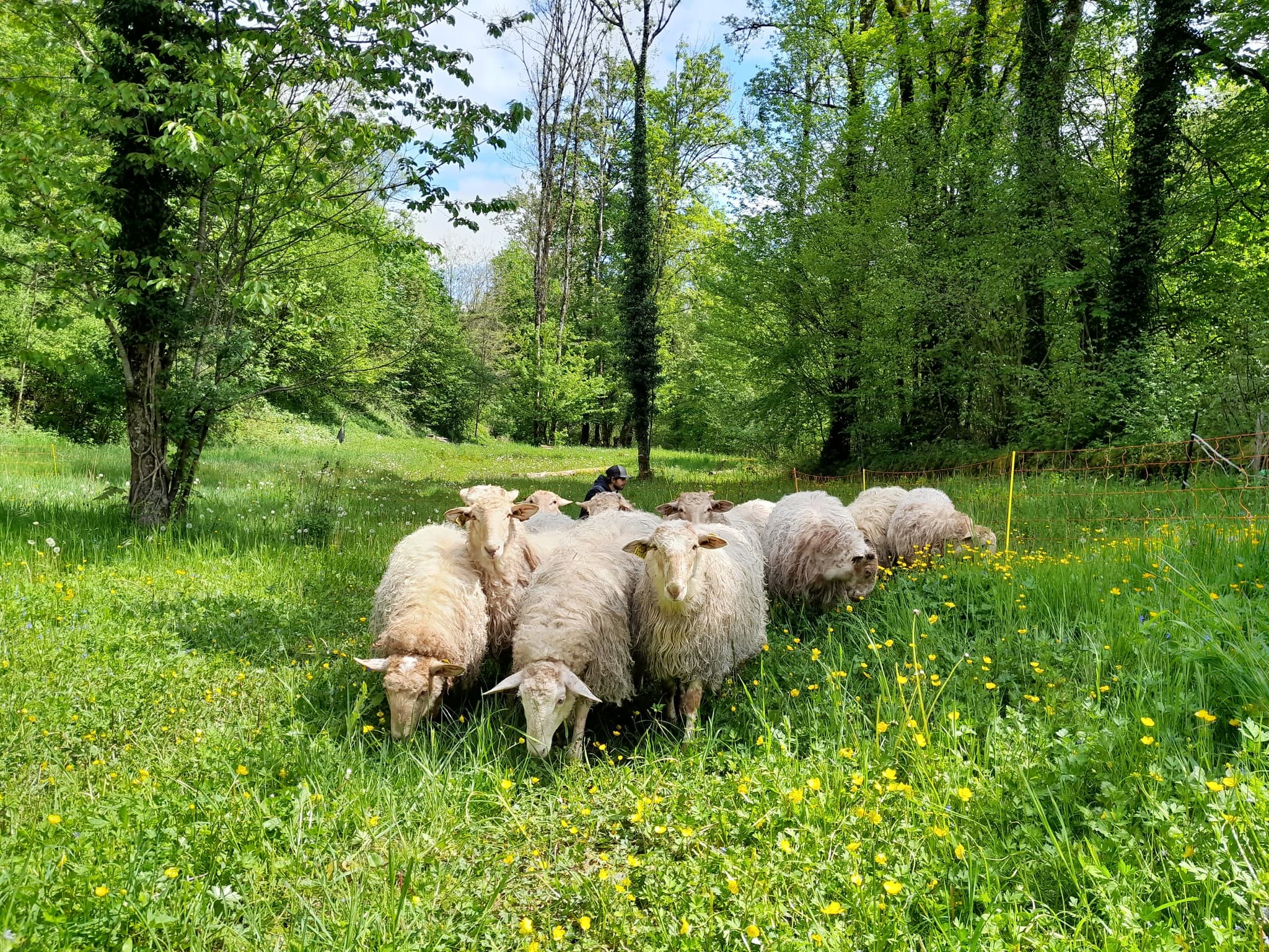 Bergerie du Champ Devant