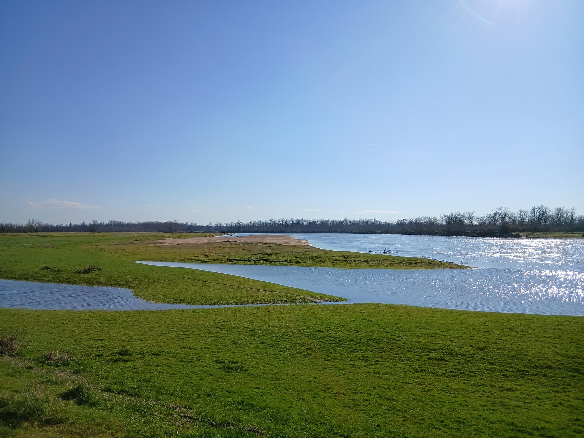 Charrin_Loire