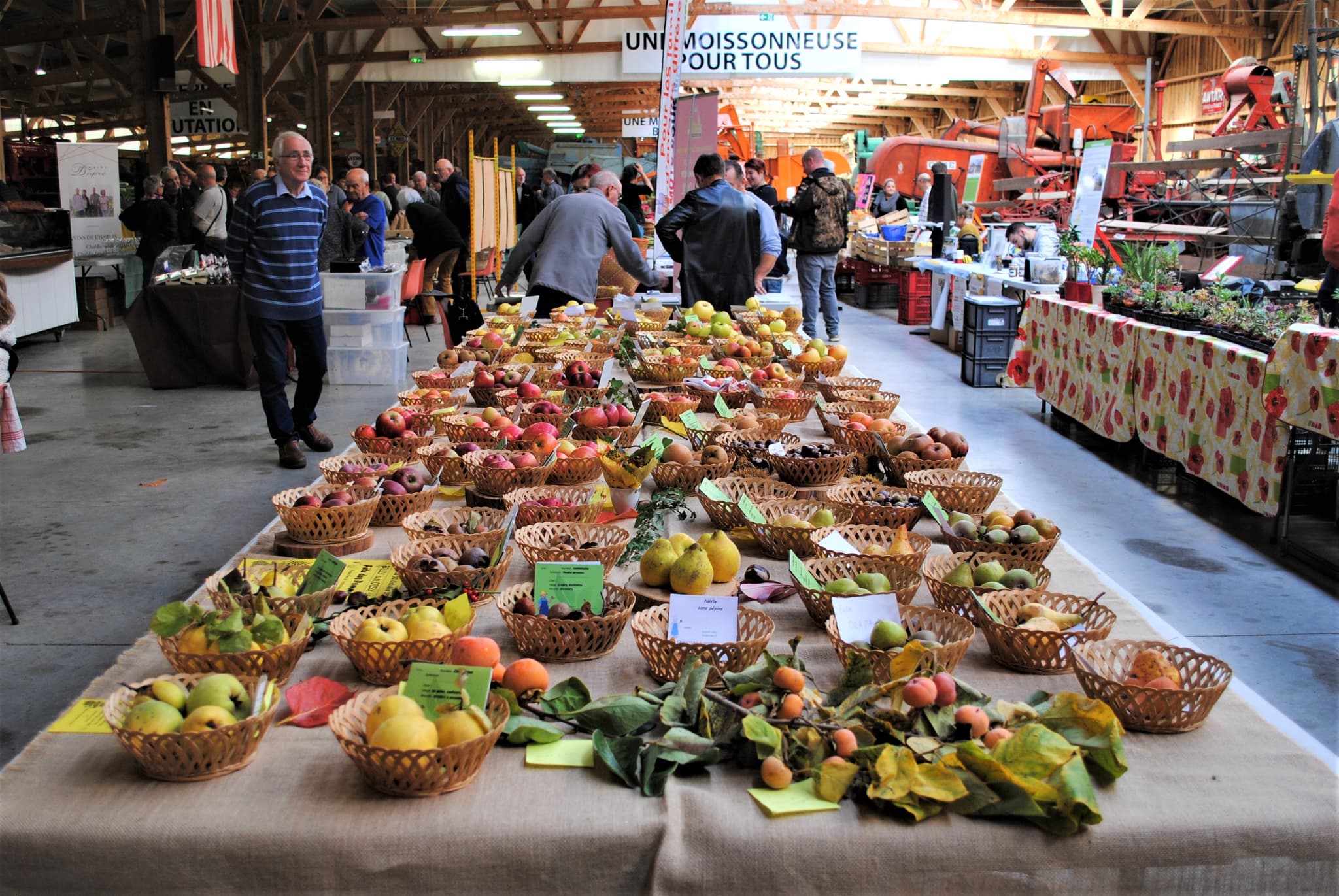 MARCHÉ DU TERROIR + RANDONNÉE  À SAINT-LOUP-DES-BOIS