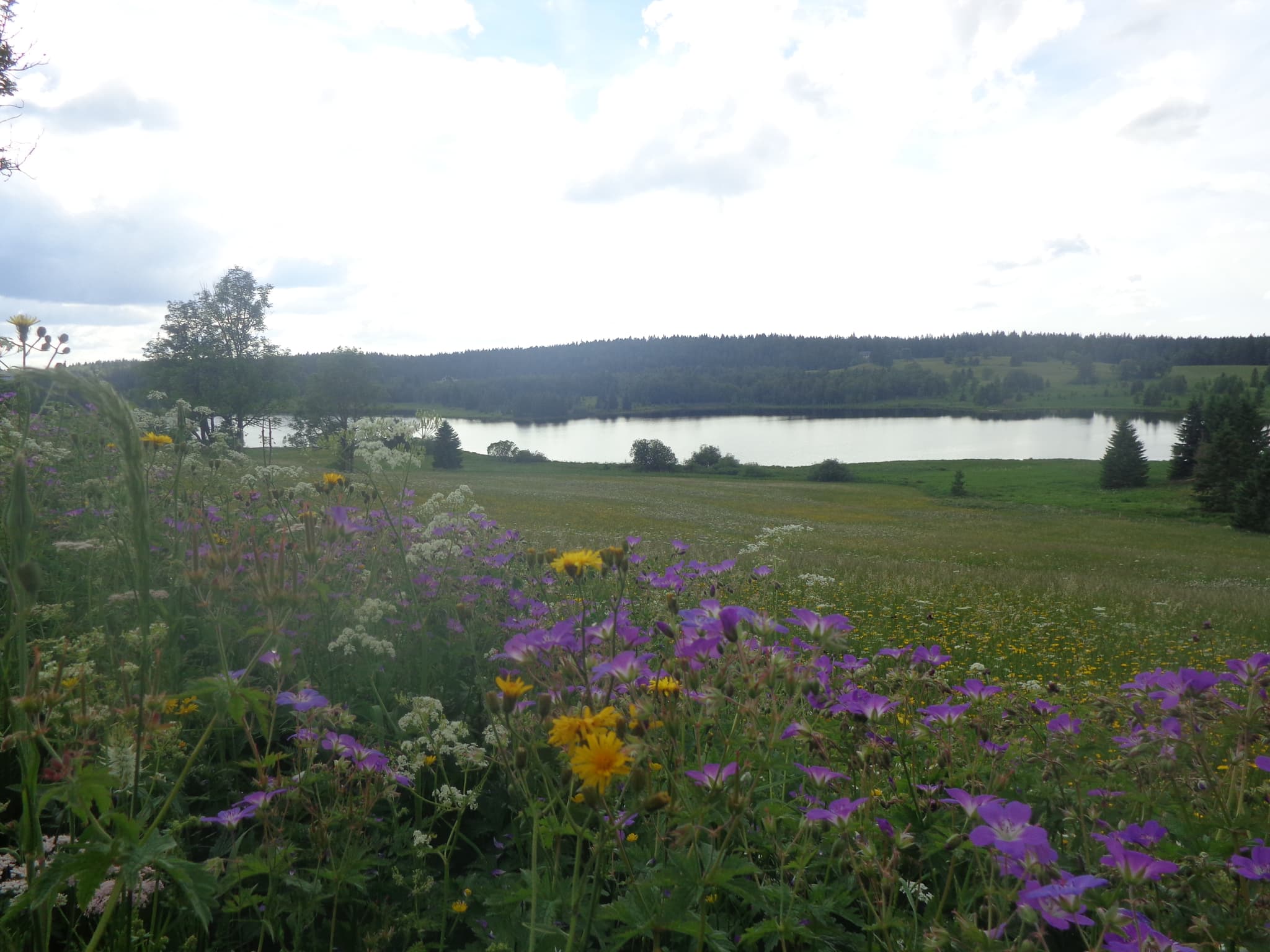Sur les Lacs
