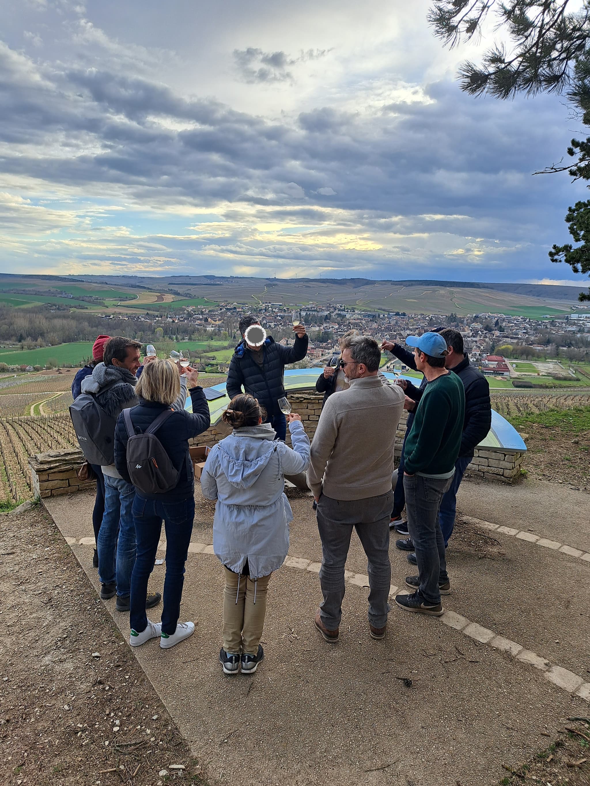 BALADE COMMENTÉE DANS LE VIGNOBLE DE CHABLIS
