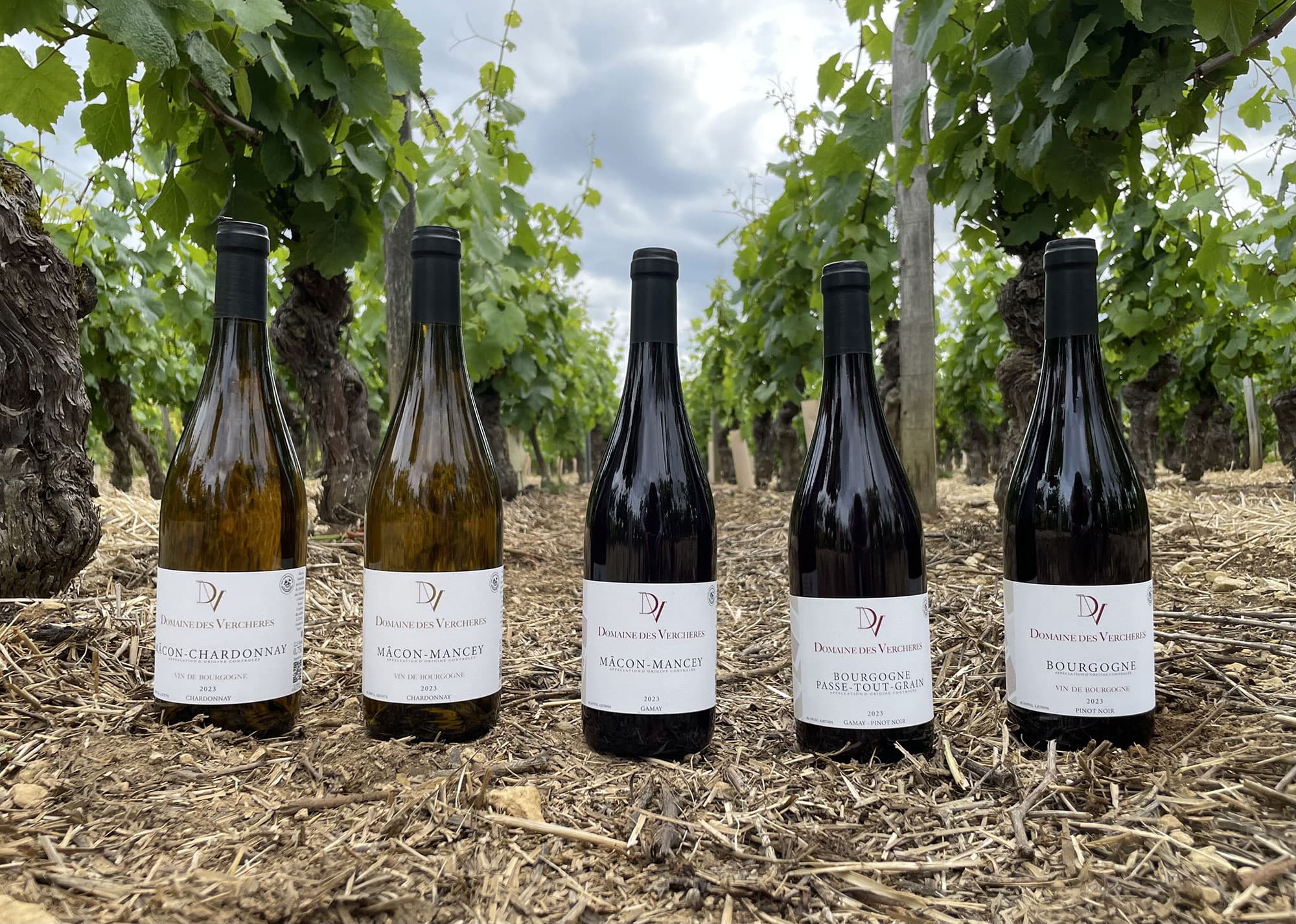 Domaine-des-Verchères