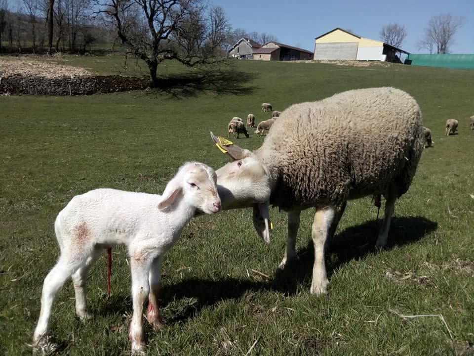 Ferme de la Demoiselle