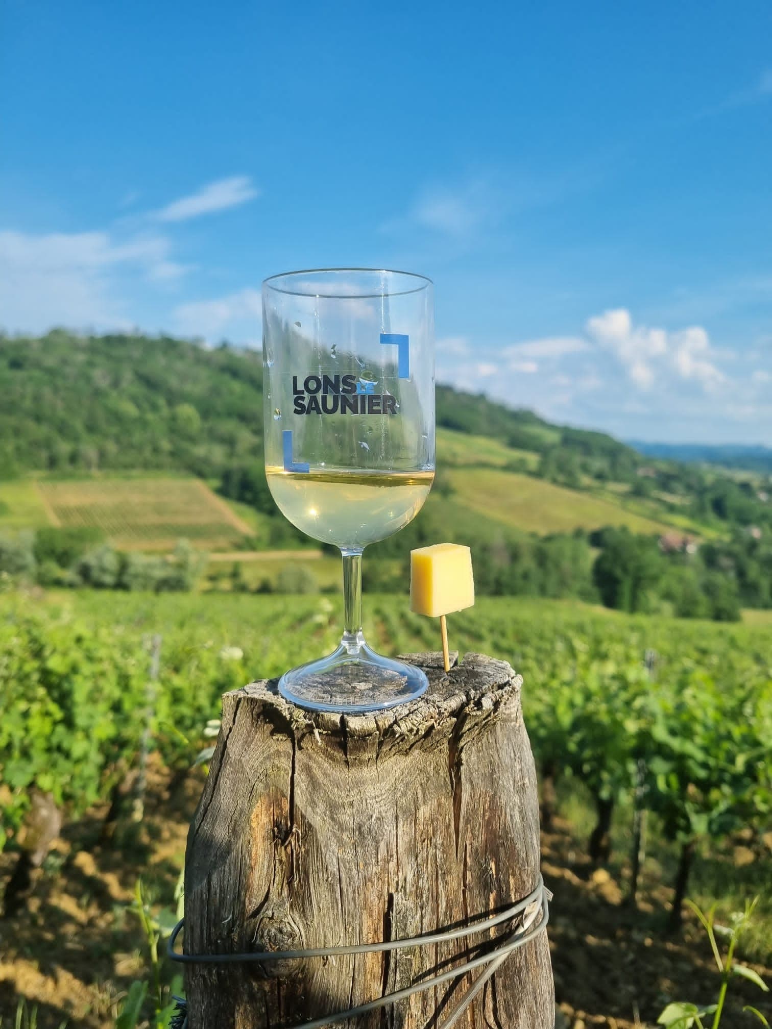 Balade vignes