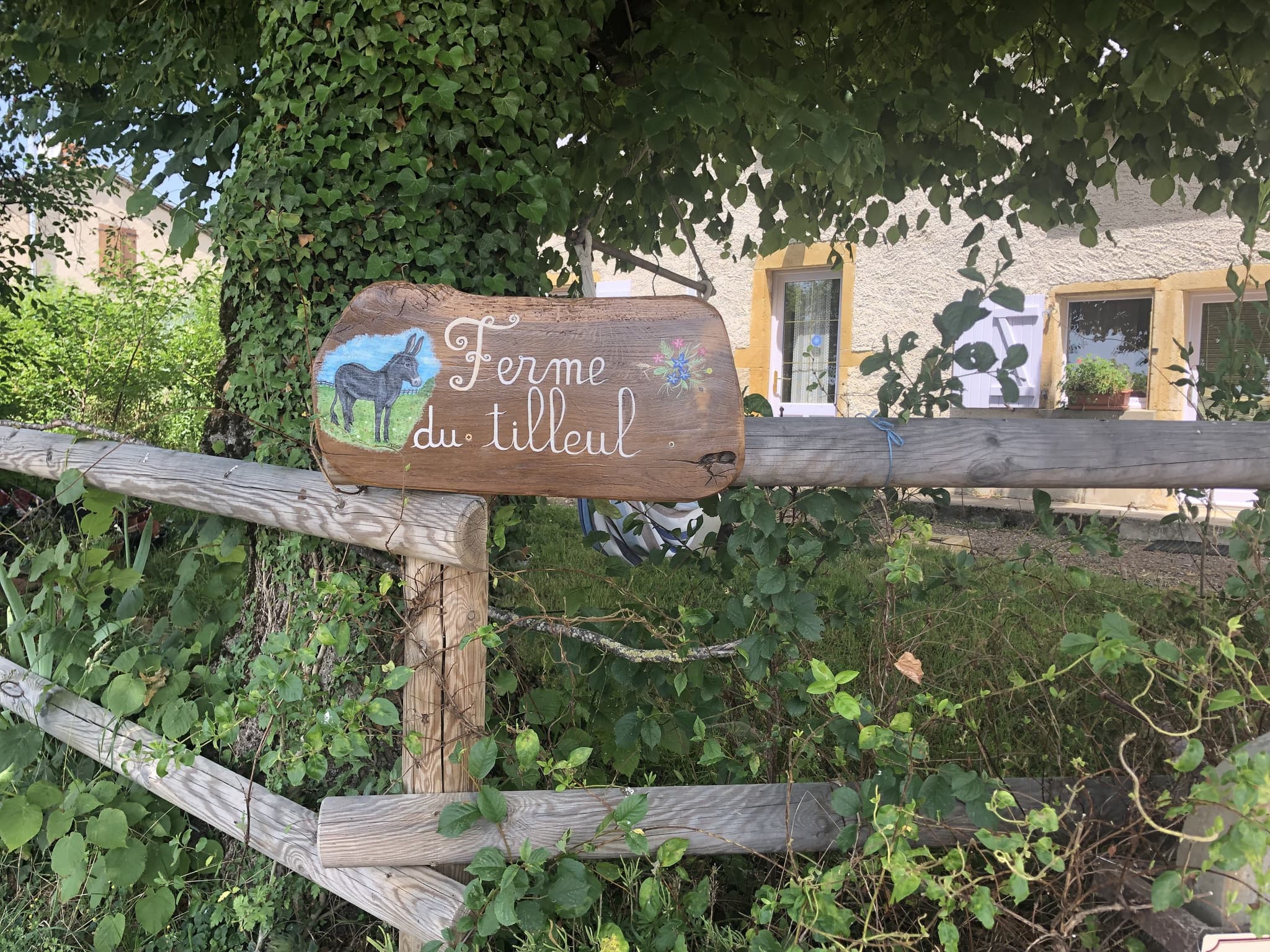 Ferme du Tilleul 71 - Arrivée sur D20