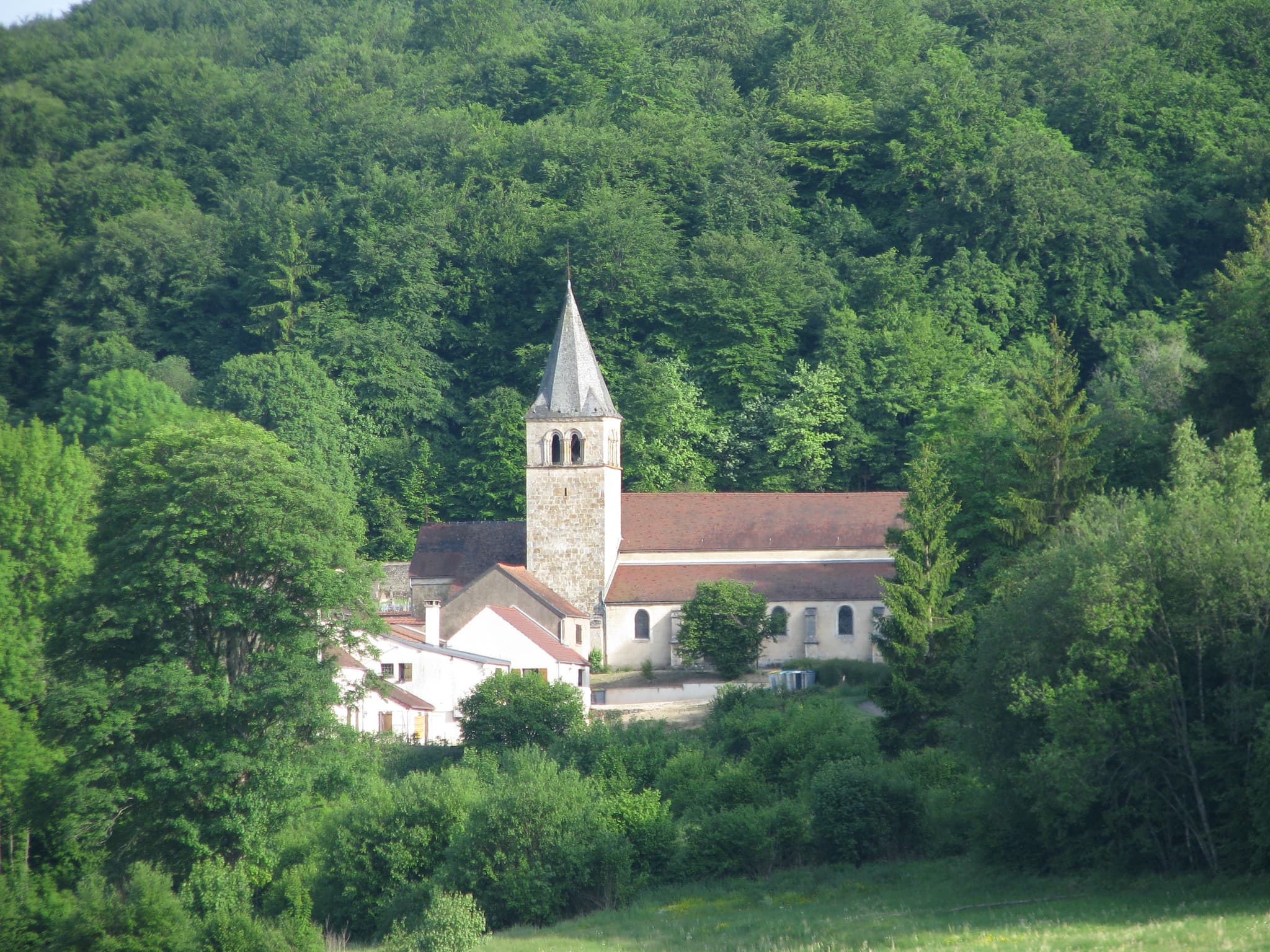 Eglise Saint-Germain et forêt