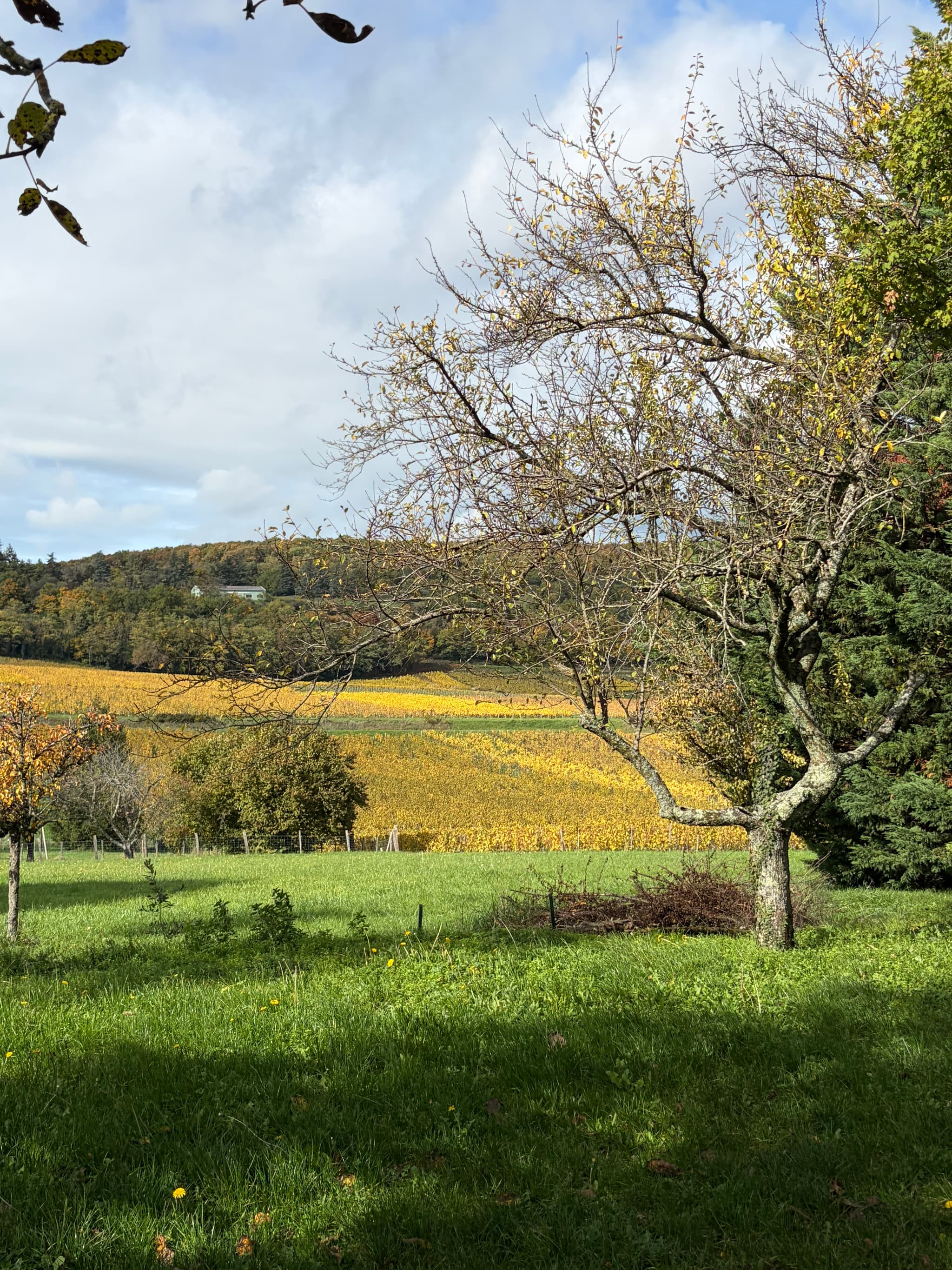 Vue sur la campagne du village