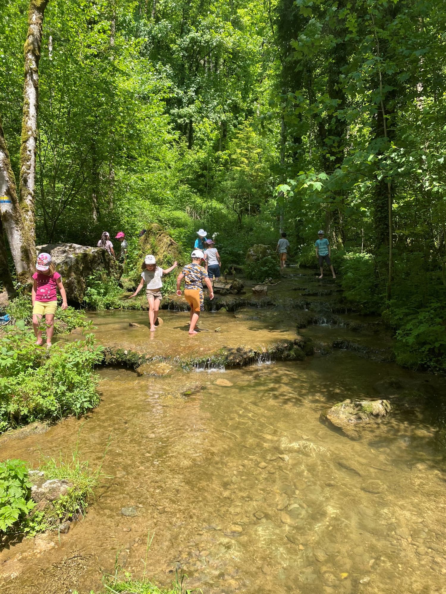 cantin manon-Haut-doubs-sport-nature-sortie nature