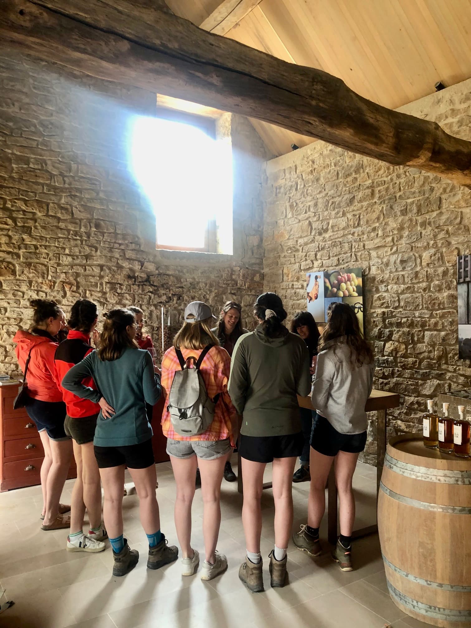 Visite guidée et dégustation de vins