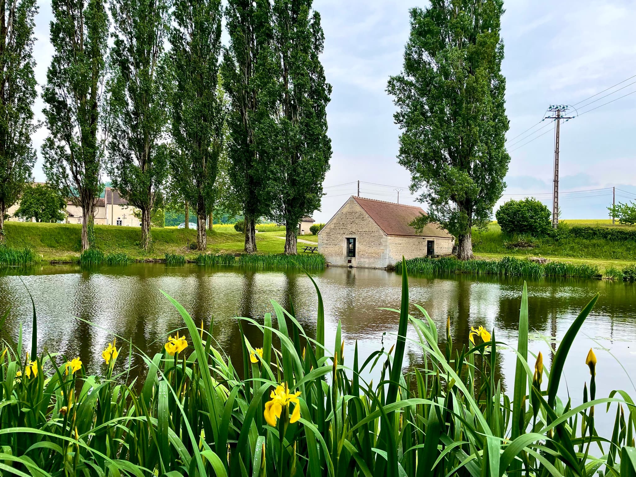 etang_saulx-la-ville_fleurs_lavoir_nature_Covati