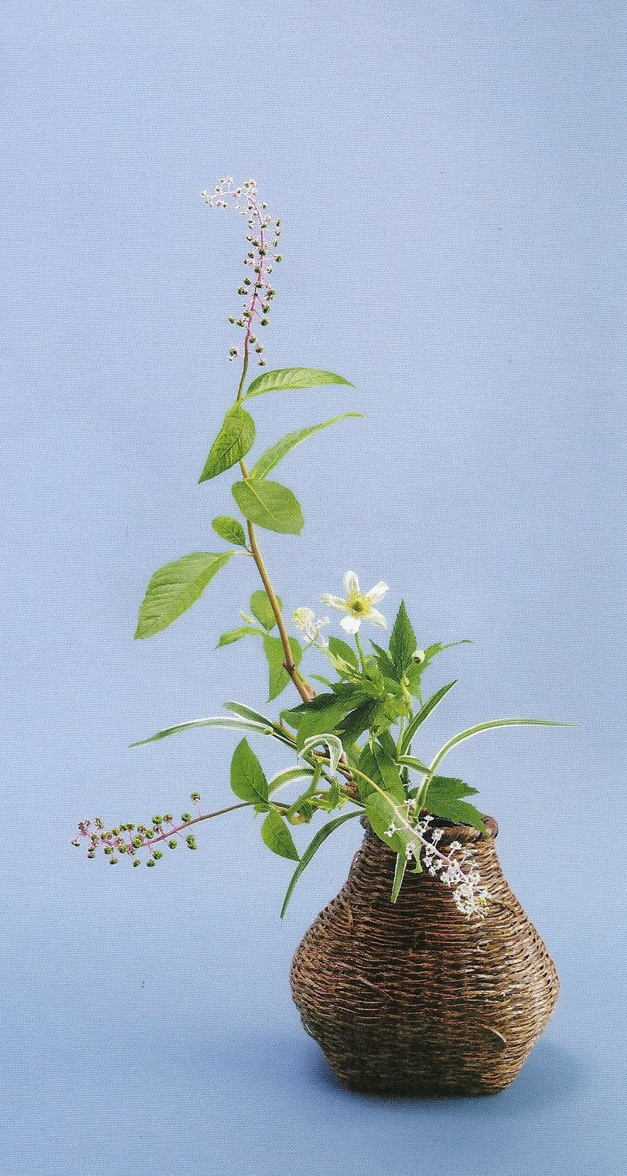 Ikebana 3