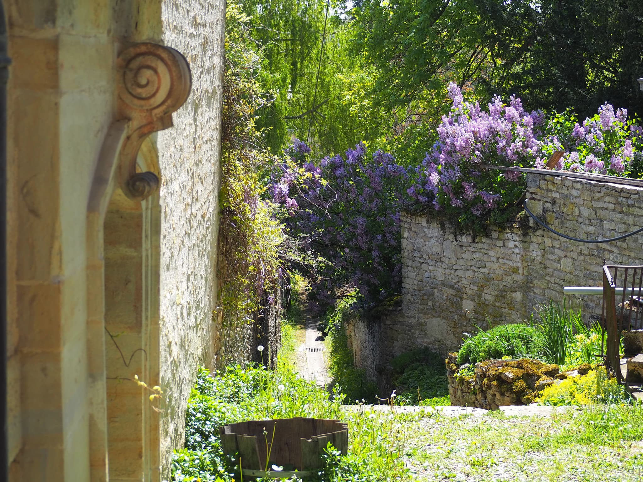 ruelle_gemeaux_cotedor_bourgogne