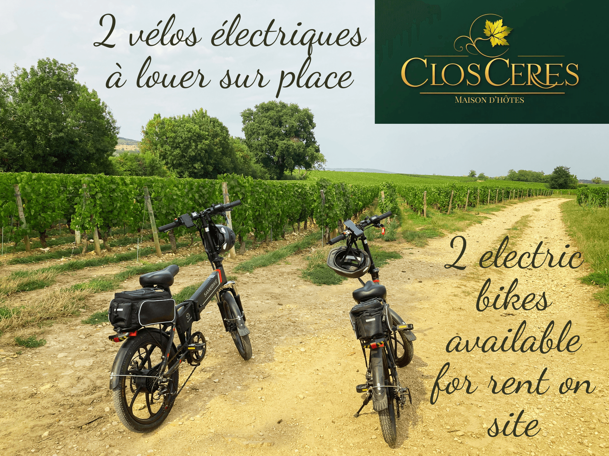 VÉLOS À LOUER