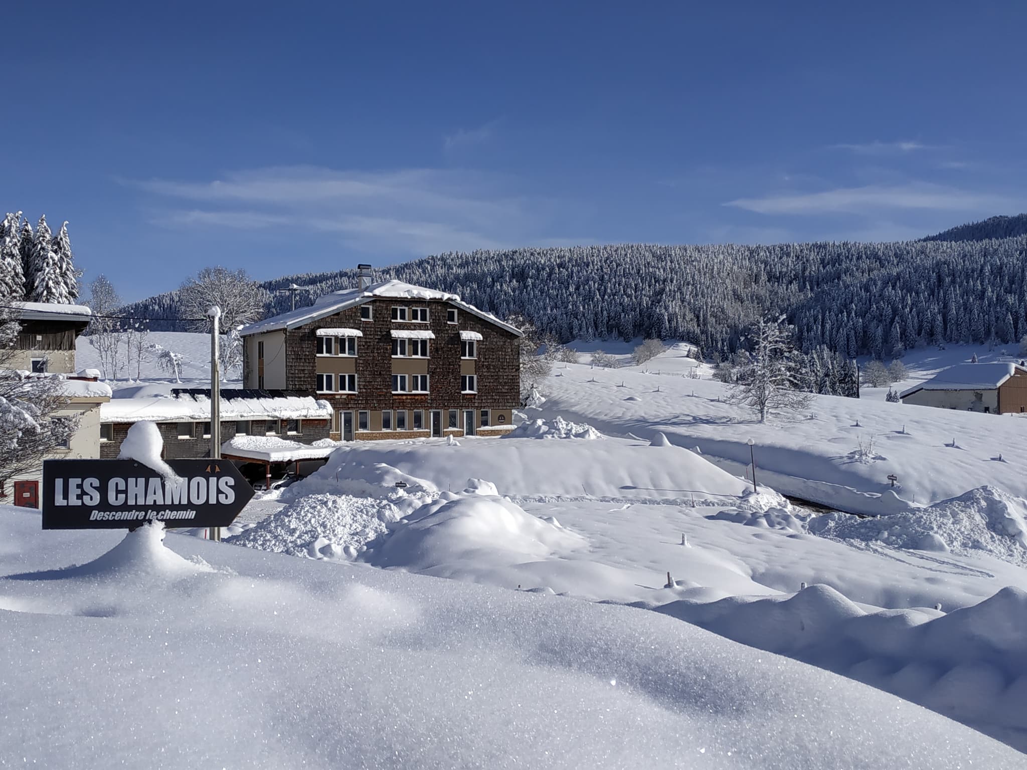 Les Chamois