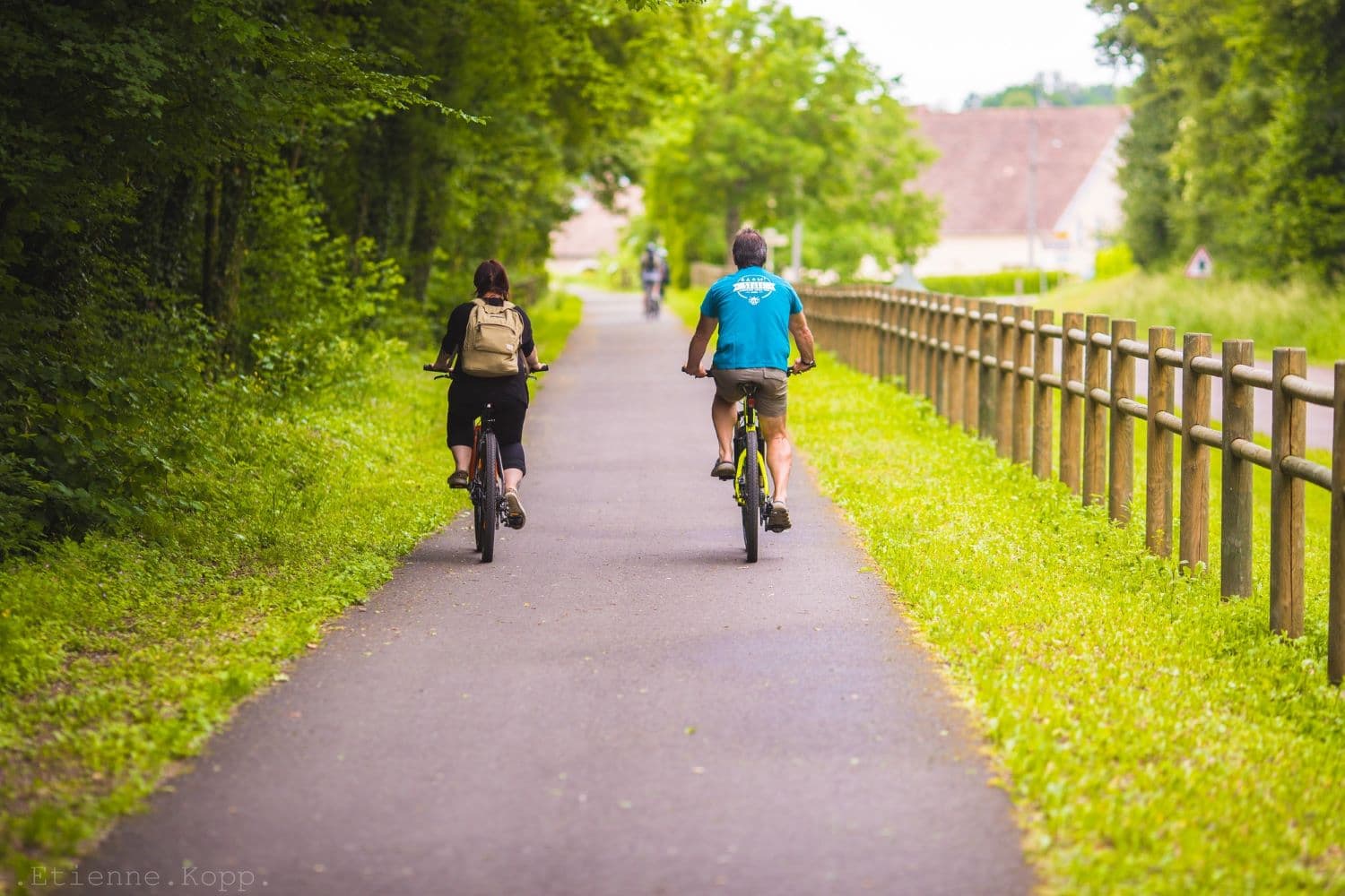 Location de vélo