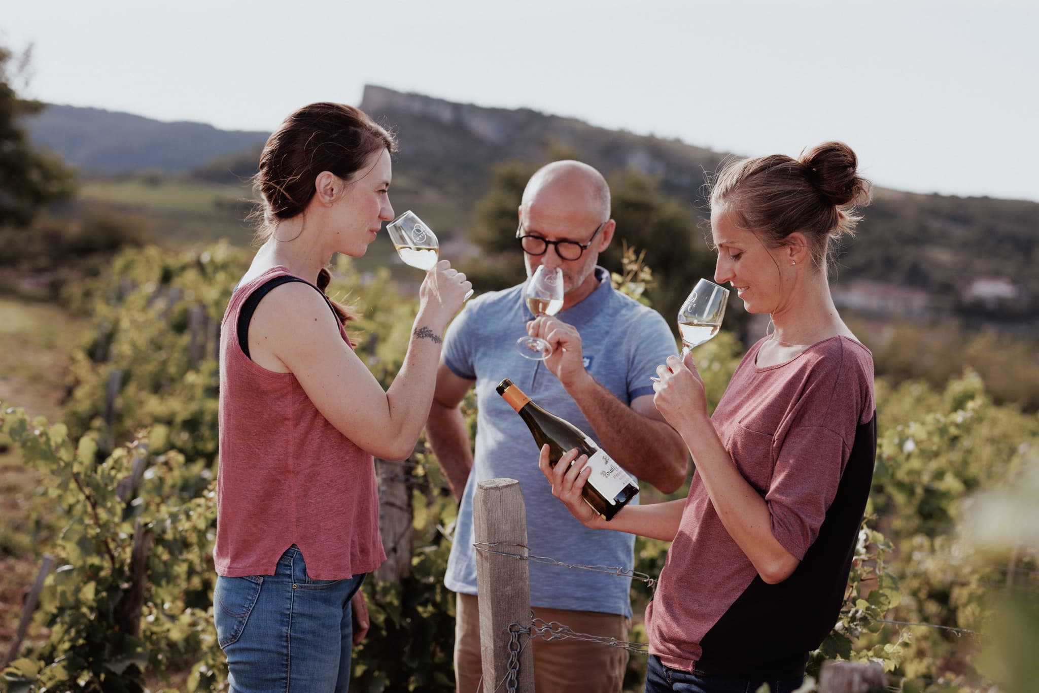 Vignoble