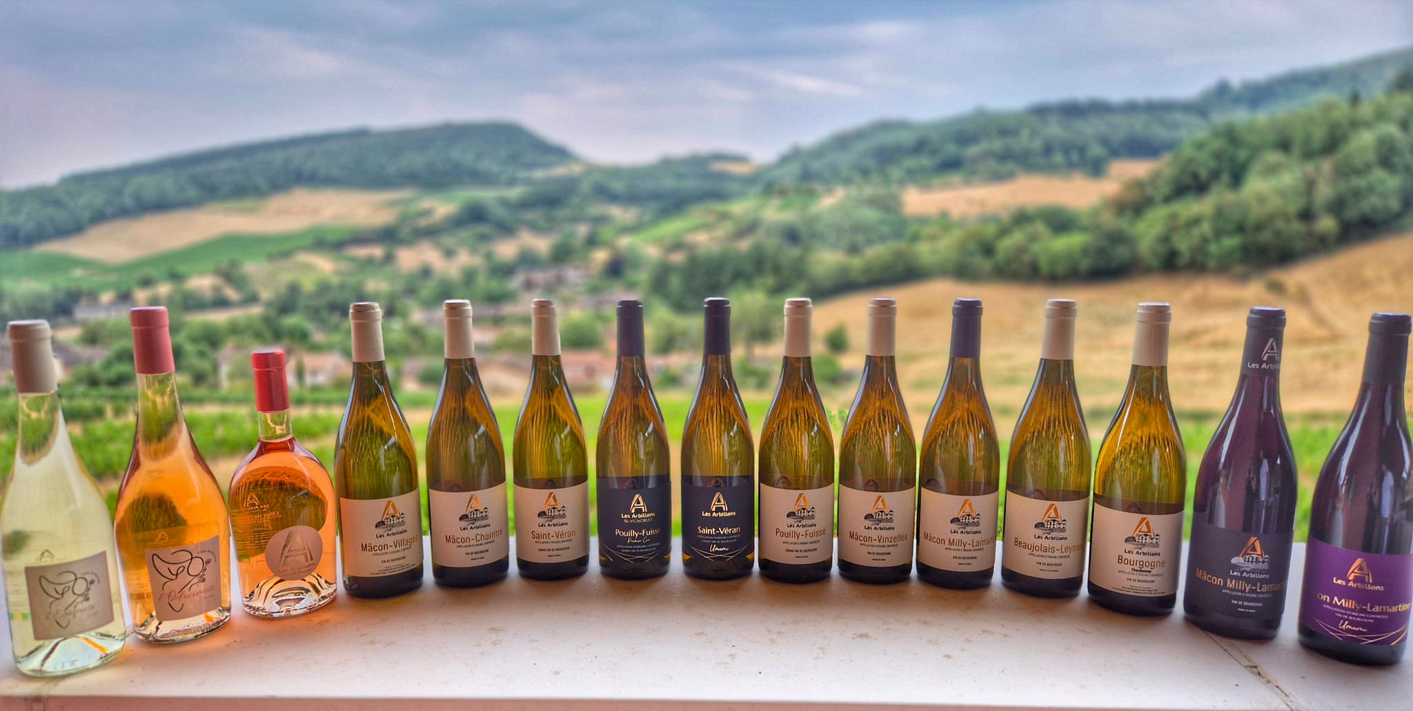 Vue de notre terrasse