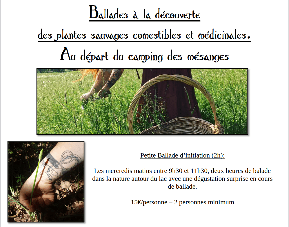 balades mésanges 2026