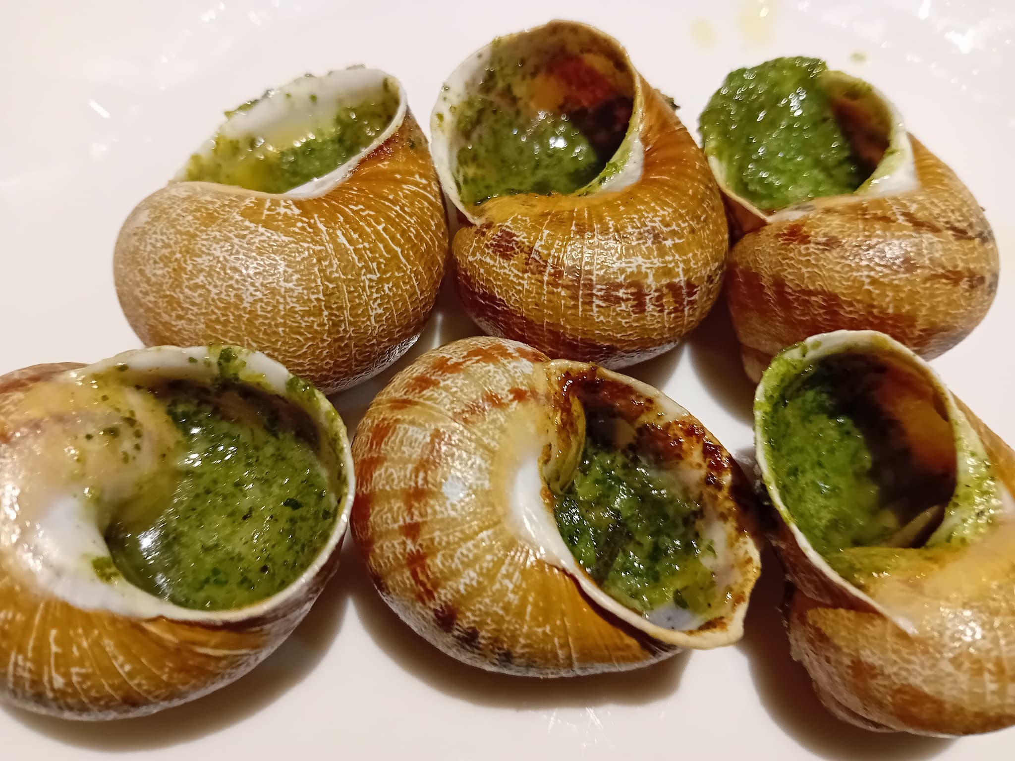 Escargots, recette bourguignonne
