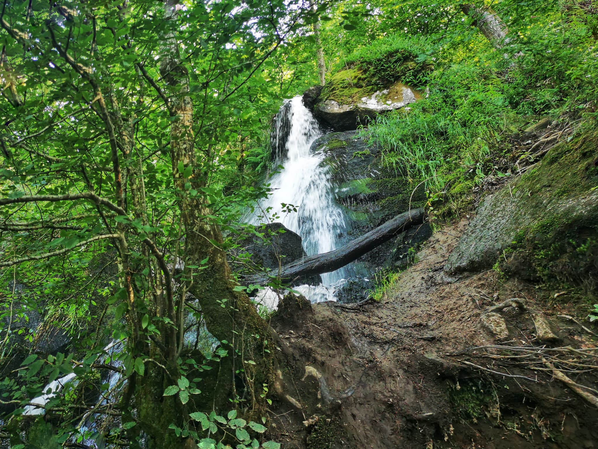 Cascade de Brisecou, randonnée à Autun