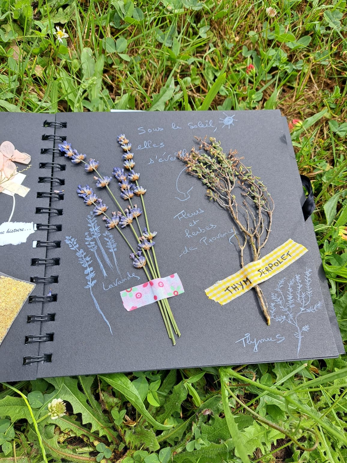 carnet nature