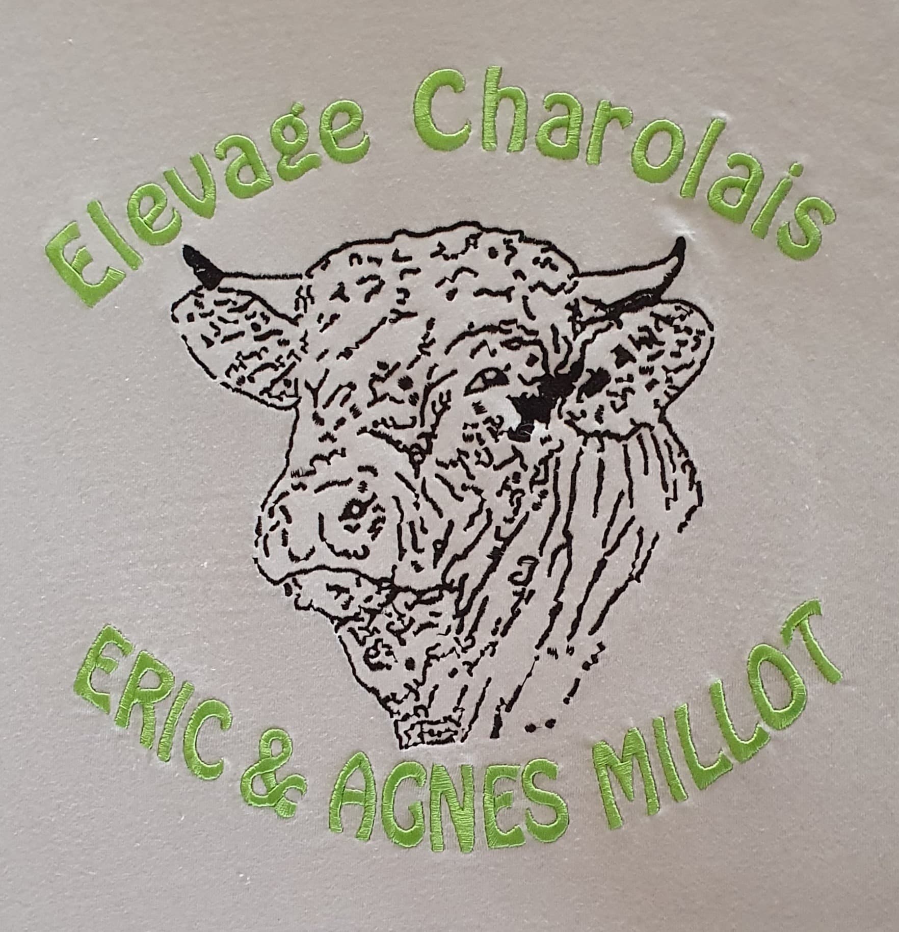 charolaise d'aillevans