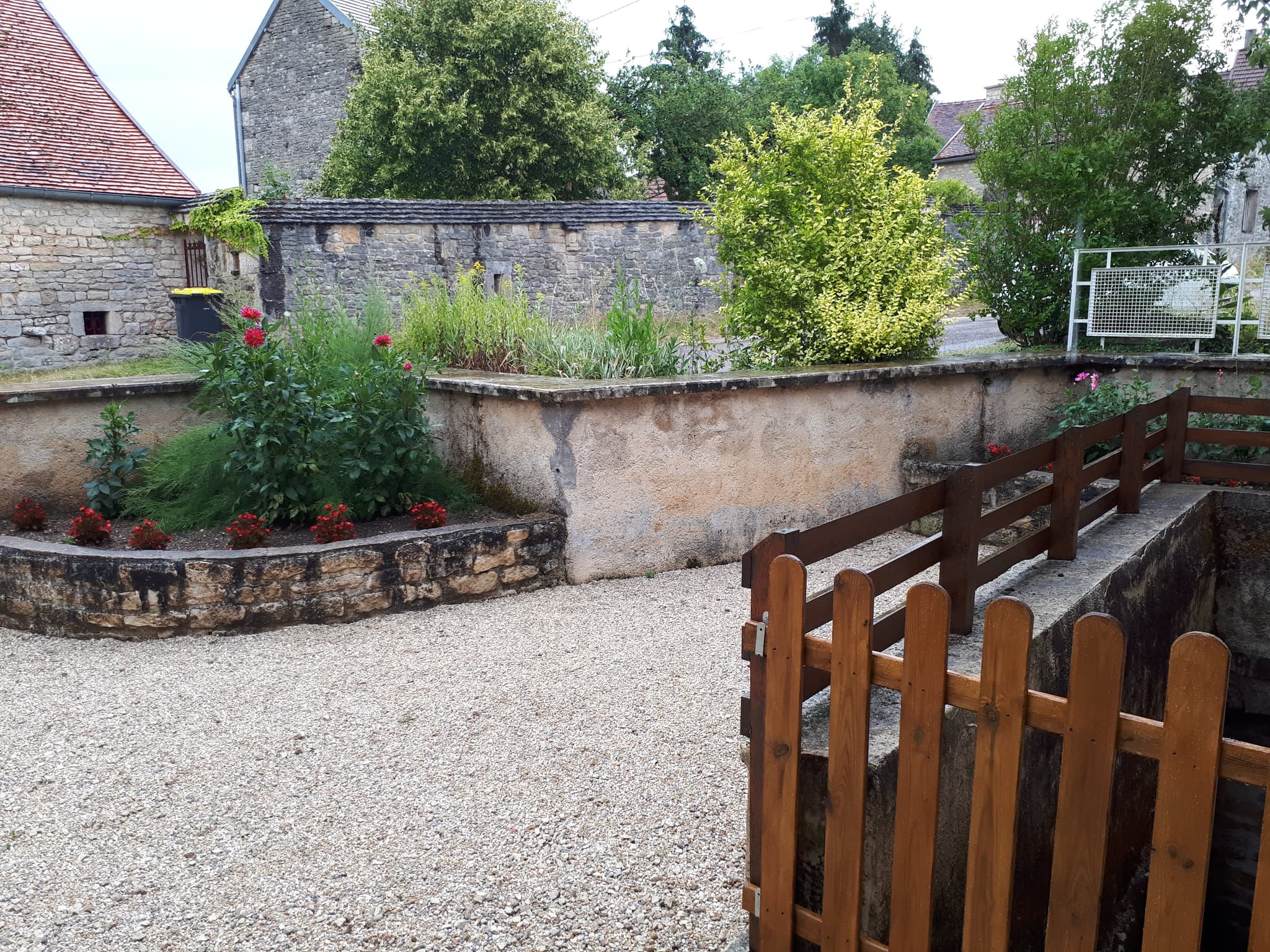 cour