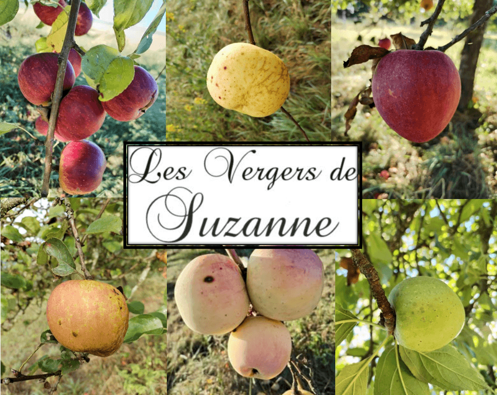 Les vergers de Suzanne