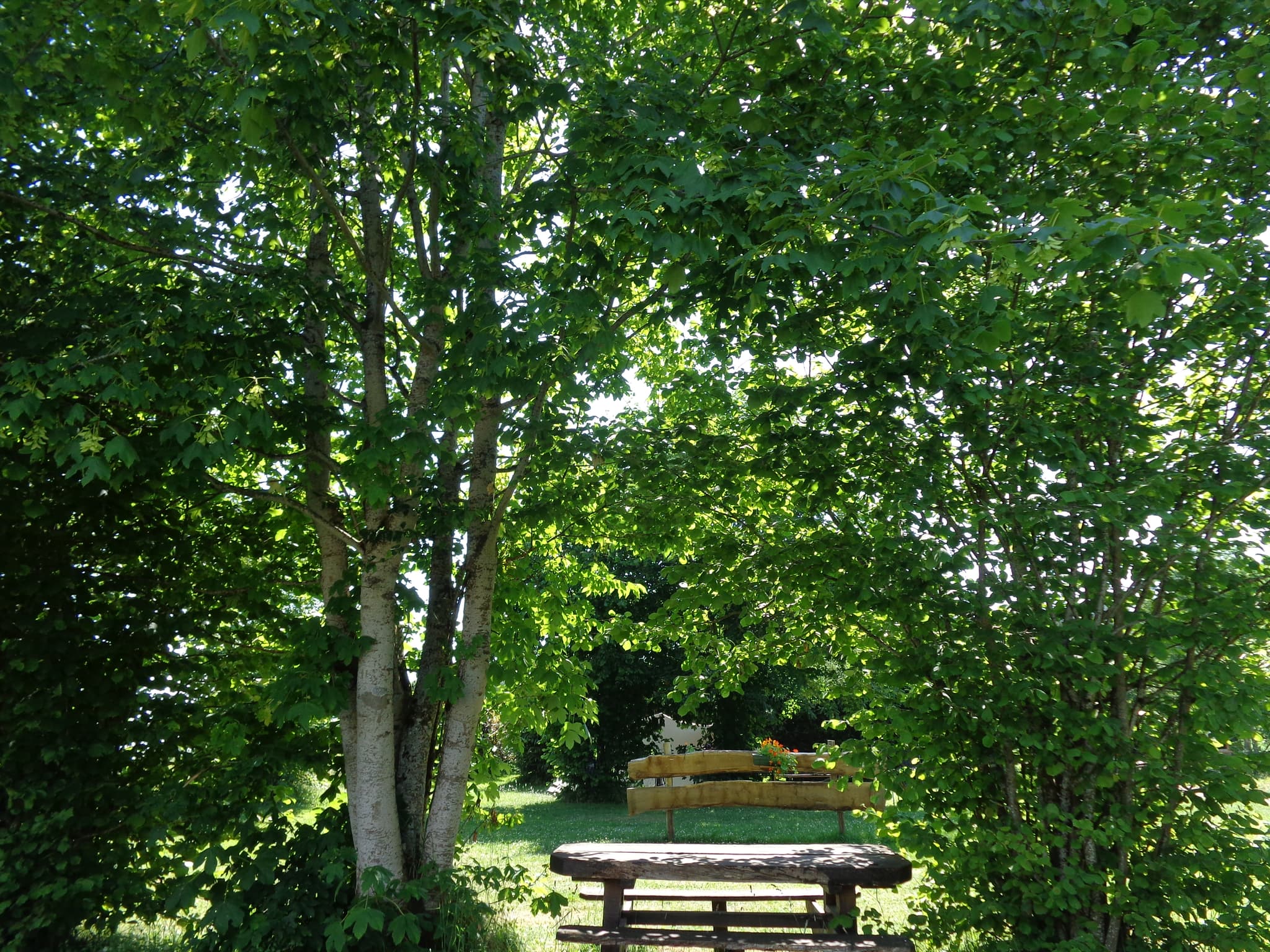 campingdemontaigu-valoreille