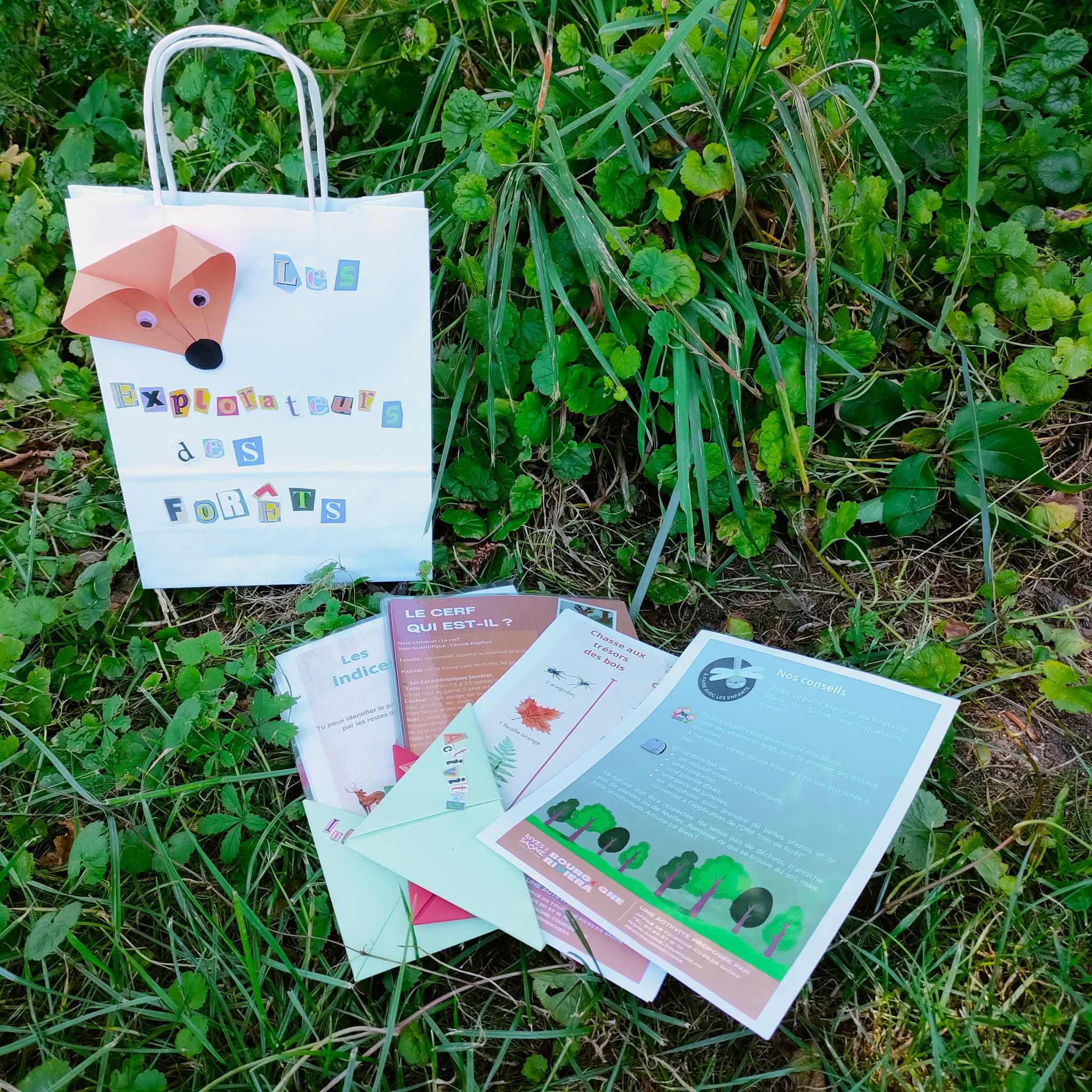 explorateur des forets