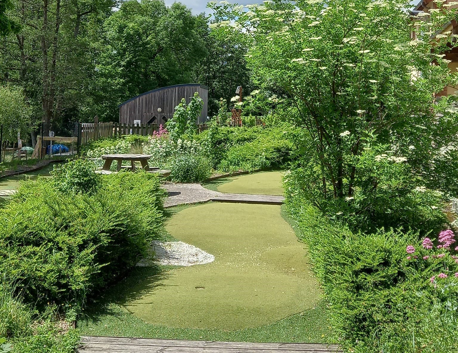 Mini-golf