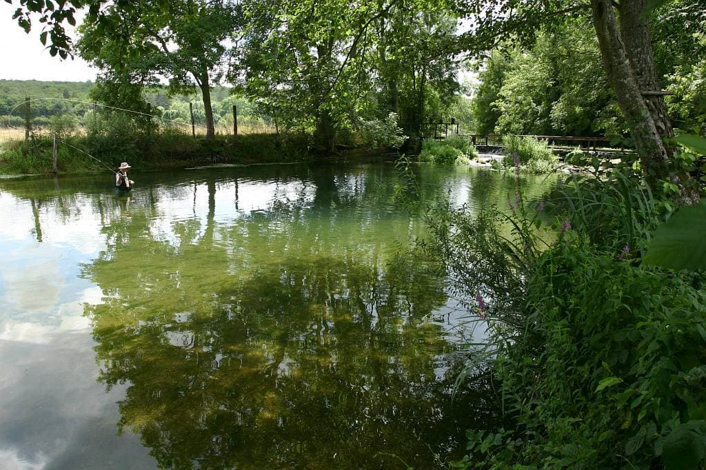 peche-dienay