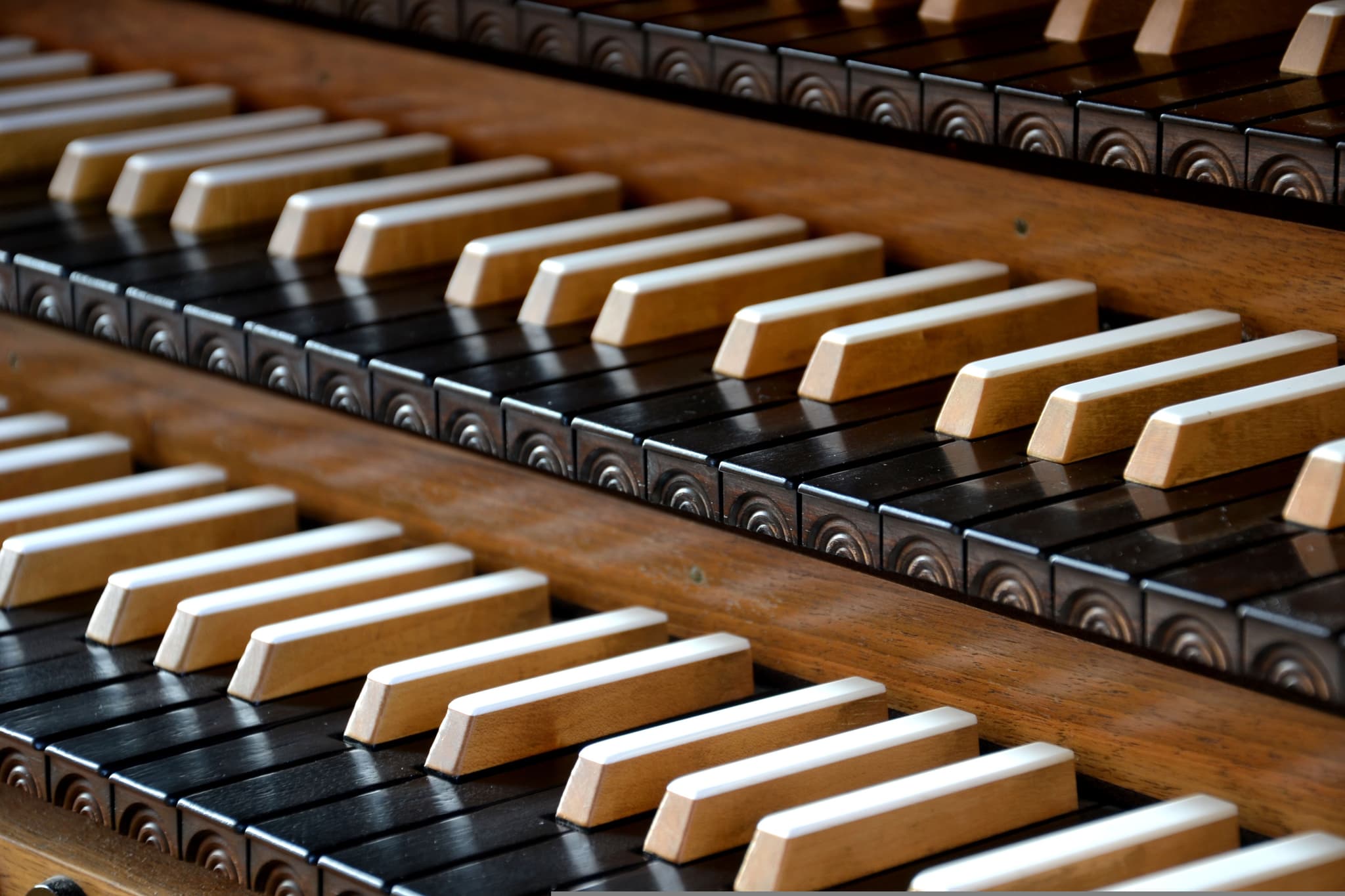 photografix-organ-4355592