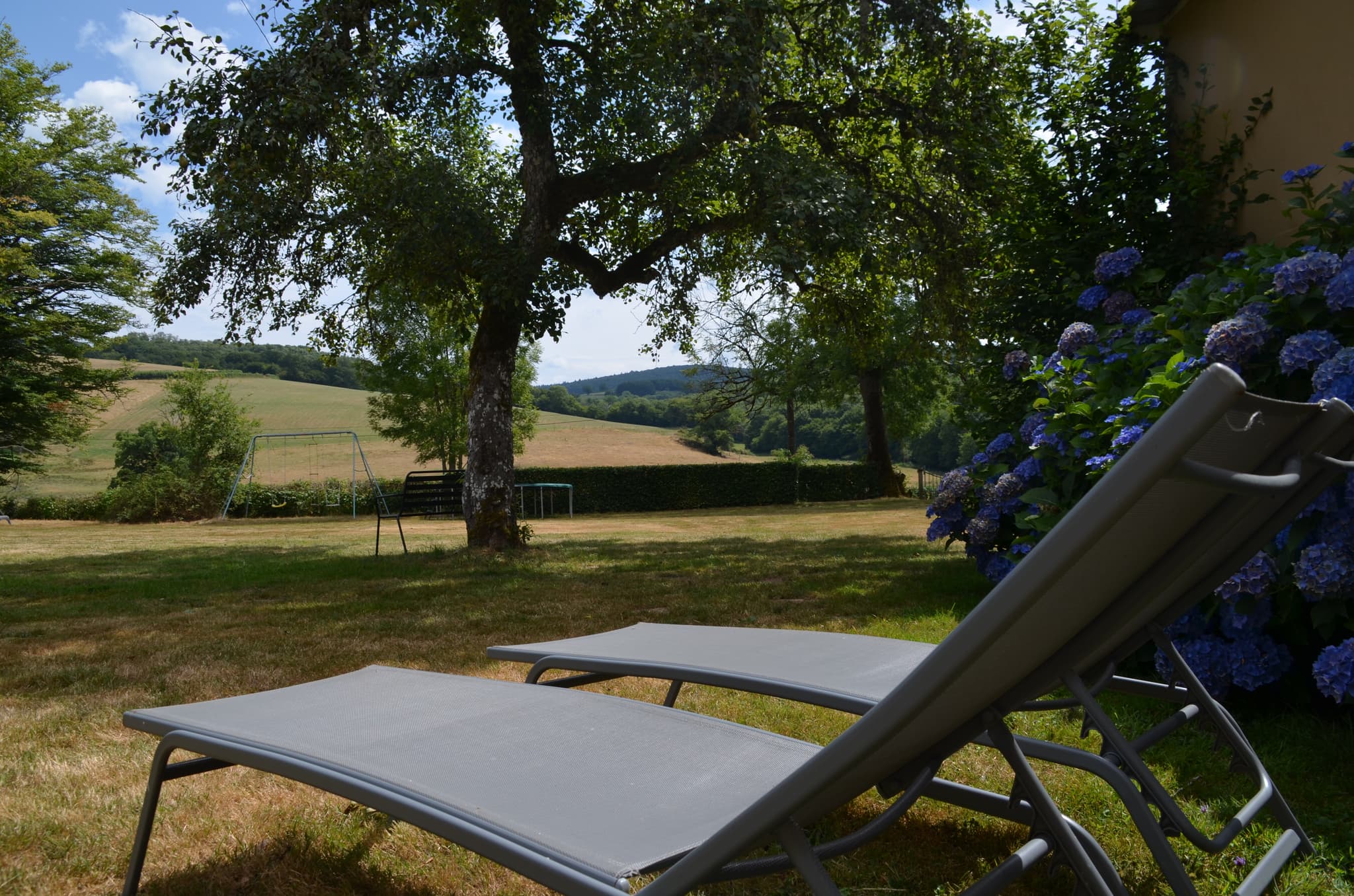veld gite 1 foto 2