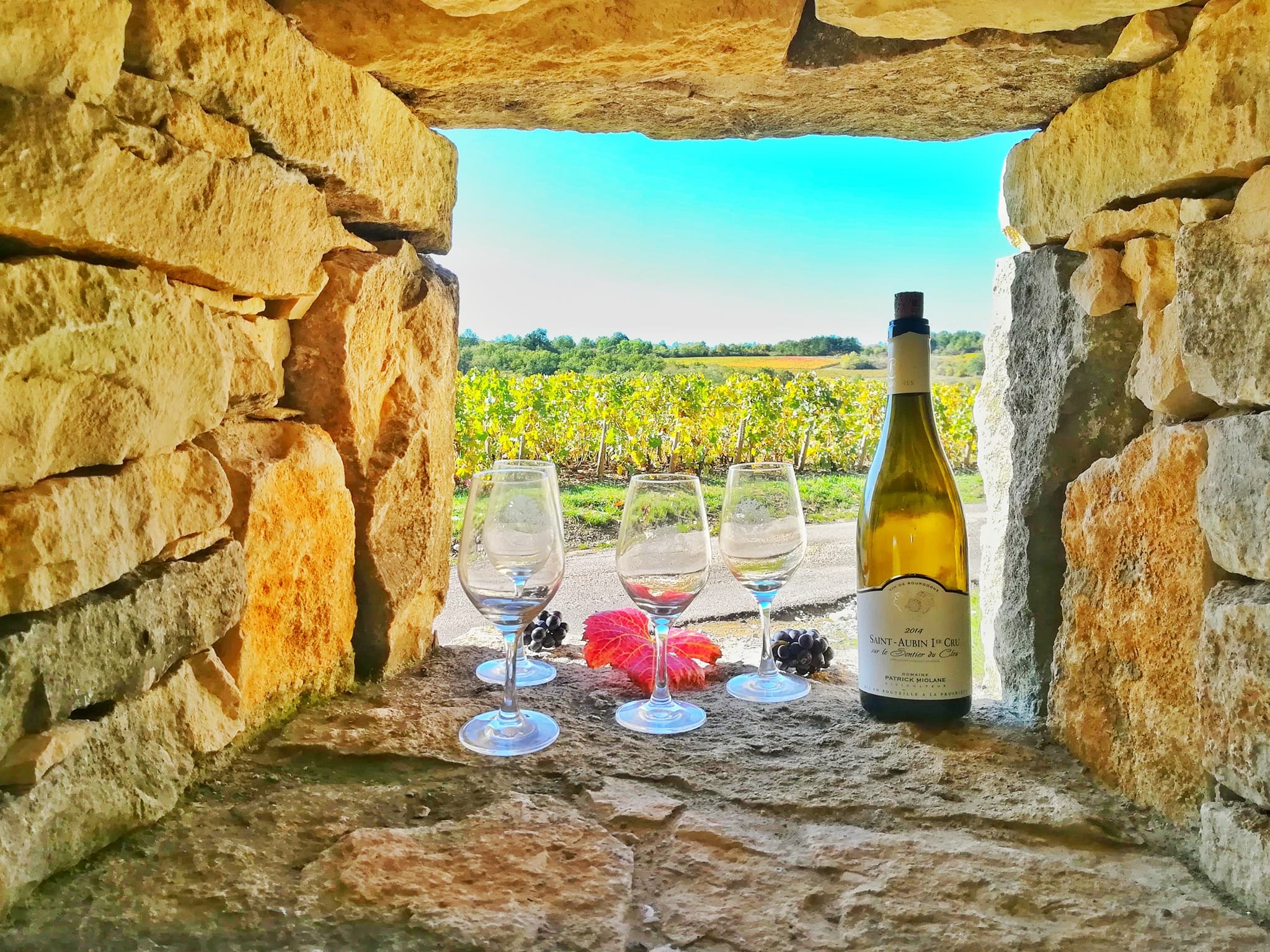 wine-tasting-3