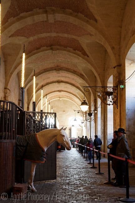 Visite libre des écuries royales
