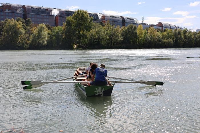 Balade en barques sur le Rhône
