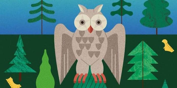 Animation enfants 7/11 ans – Château des ducs de Bretagne