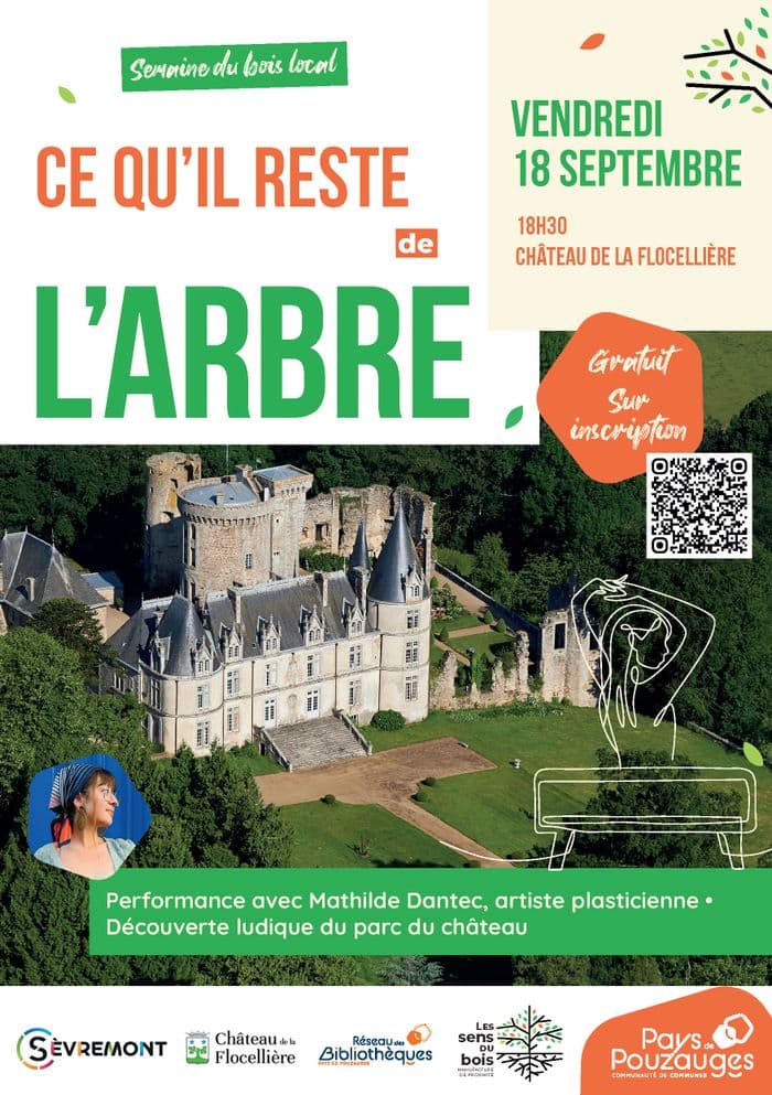 Ce qu'il reste de l'arbre