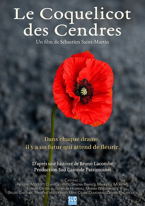 Projection "Le coquelicot des cendres"
