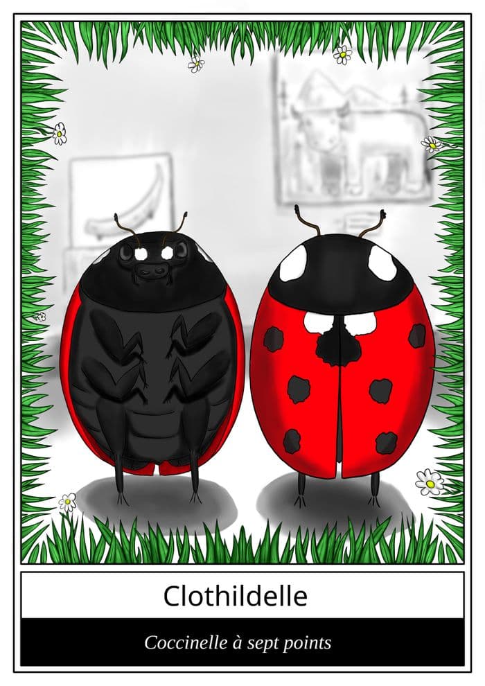 Le "Qui est-ce" des insectes !
