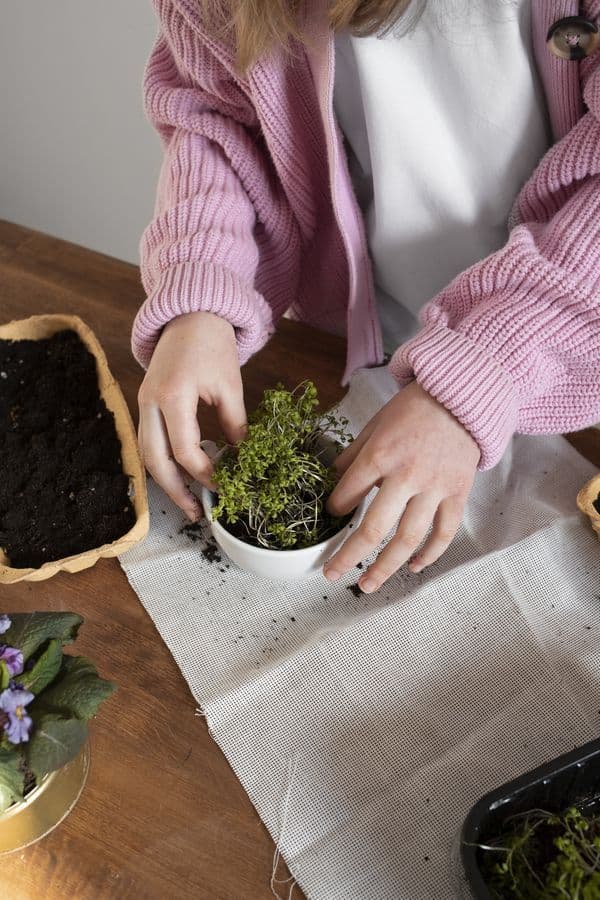 Atelier « Je rempote ma plante »