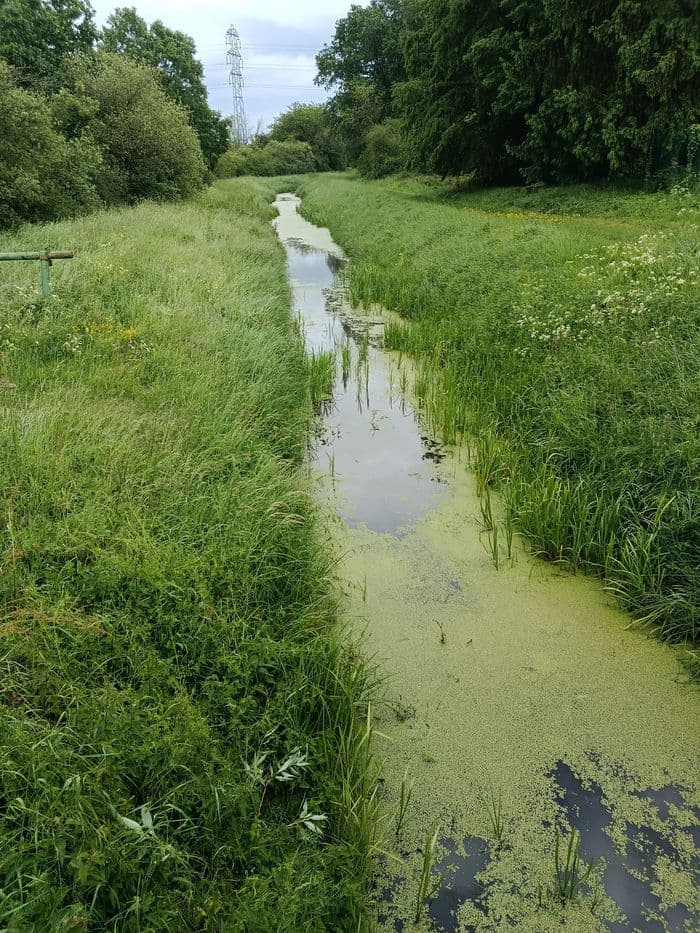 JeP - Balade au fil de l'eau à Coignières
