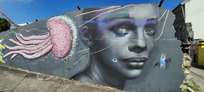 Visite guidée «Street art à Terre Sainte»
